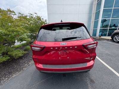 2024 Ford Escape ST-Line Elite