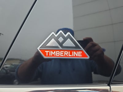 2022 Ford Expedition Timberline