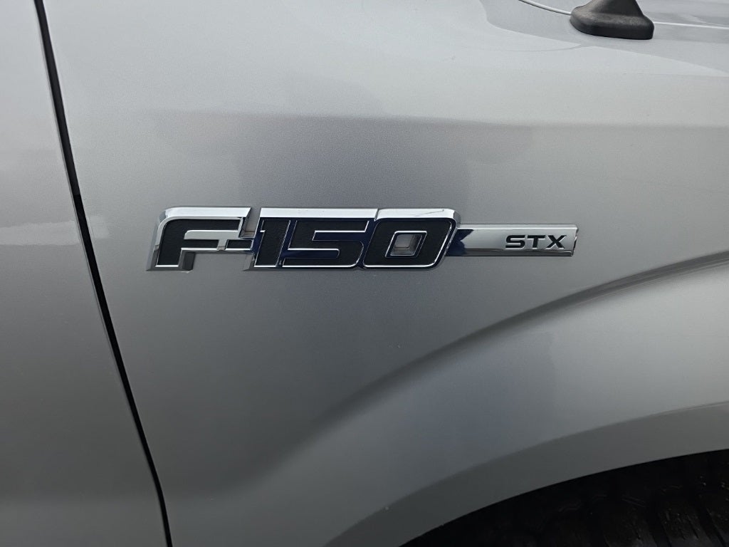 2010 Ford F-150 XL