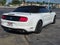 2023 Ford Mustang EcoBoost