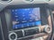 2023 Ford Mustang EcoBoost