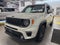 2019 Jeep Renegade Limited